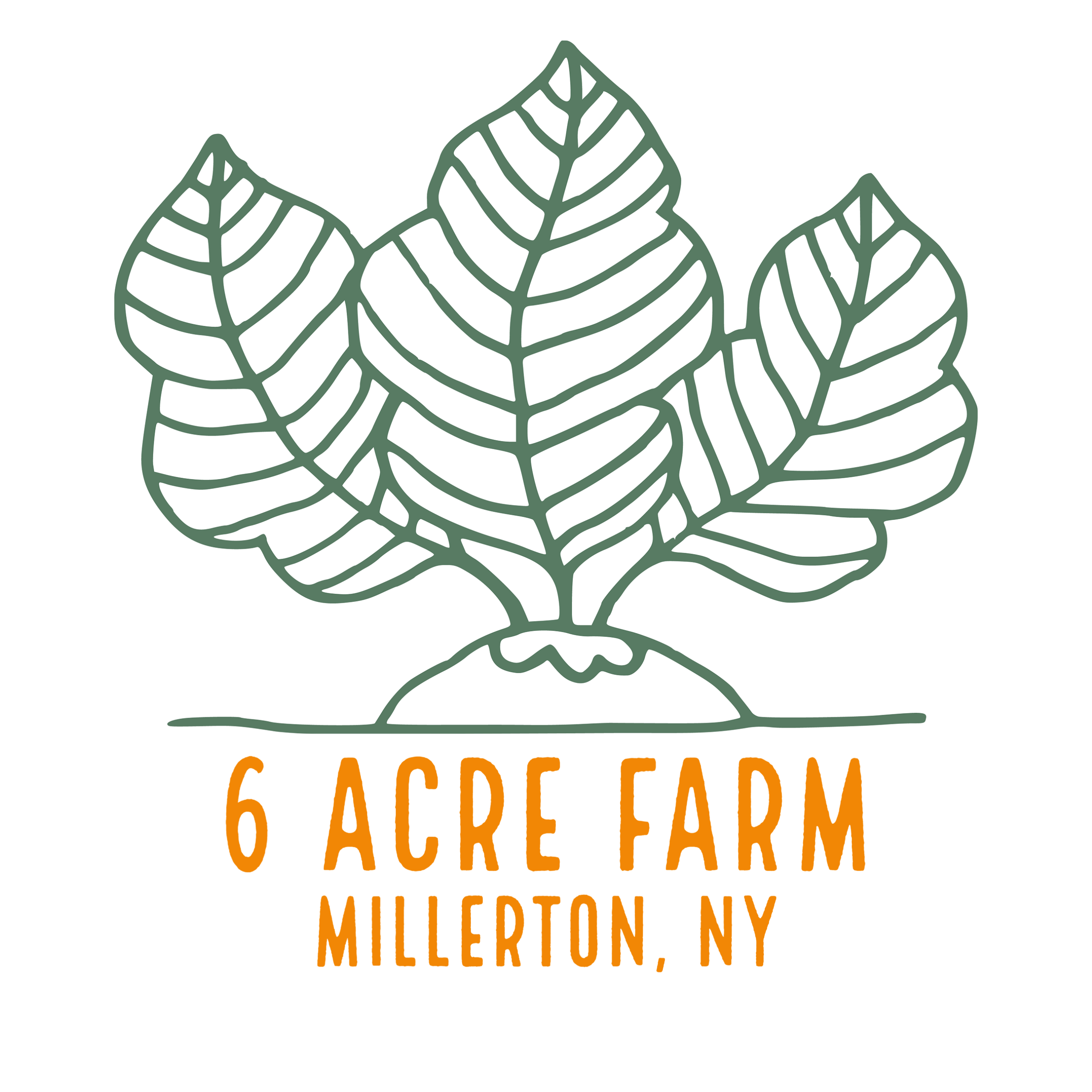 6 Acre Farm